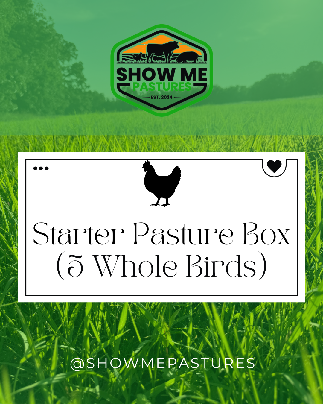 Starter Pasture Box (5 Whole Birds)